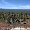 newpoort Altpins Profile Picture