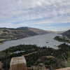 newpoort Altpins Profile Picture