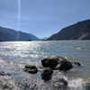 newpoort Altpins Profile Picture