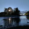 newpoort Altpins Profile Picture