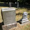 newpoort Altpins Profile Picture