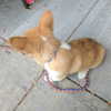 newpoort Altpins Profile Picture