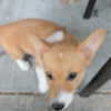 newpoort Altpins Profile Picture