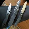 newpoort Altpins Profile Picture