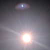 newpoort Altpins Profile Picture