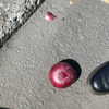 newpoort Altpins Profile Picture
