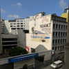 newpoort Altpins Profile Picture