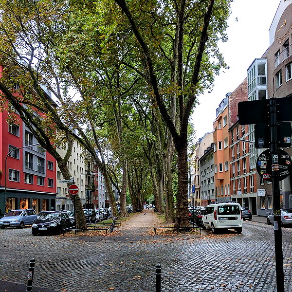 newpoort instagram image archive image
