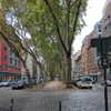 newpoort Altpins Profile Picture