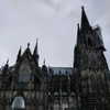 newpoort Altpins Profile Picture