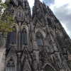 newpoort Altpins Profile Picture