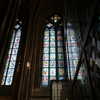 newpoort Altpins Profile Picture