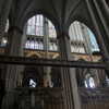 newpoort Altpins Profile Picture