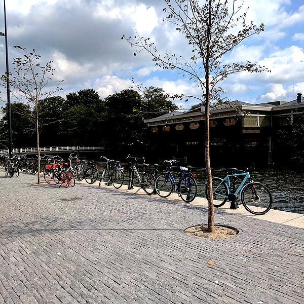 newpoort instagram image archive image