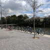 newpoort Altpins Profile Picture
