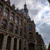 newpoort Altpins Profile Picture