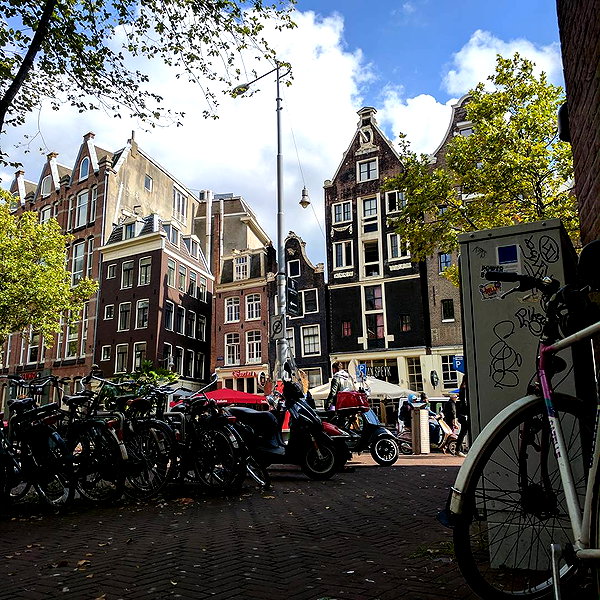 newpoort instagram image archive image