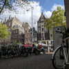 newpoort Altpins Profile Picture