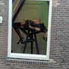 newpoort Altpins Profile Picture