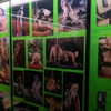 newpoort Altpins Profile Picture