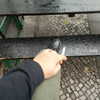 newpoort Altpins Profile Picture