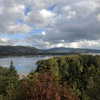 newpoort Altpins Profile Picture