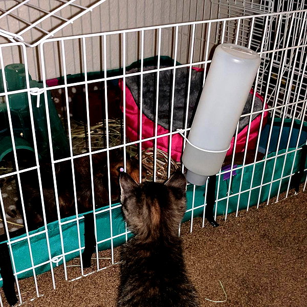 newpoort instagram image archive image