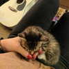 newpoort Altpins Profile Picture