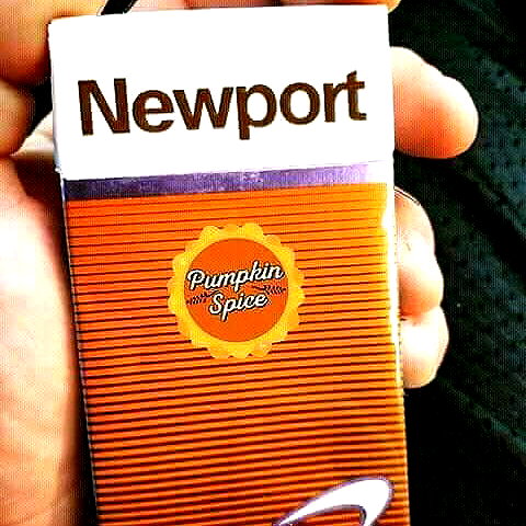 newpoort instagram image archive image
