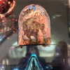 newpoort Altpins Profile Picture