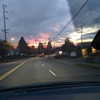 newpoort Altpins Profile Picture