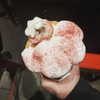 newpoort Altpins Profile Picture