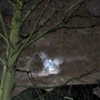 newpoort Altpins Profile Picture