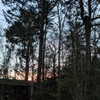 newpoort Altpins Profile Picture