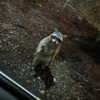 newpoort Altpins Profile Picture