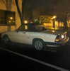 newpoort Altpins Profile Picture