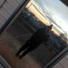 newpoort Altpins Profile Picture