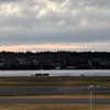 newpoort Altpins Profile Picture