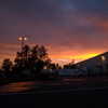newpoort Altpins Profile Picture