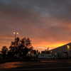 newpoort Altpins Profile Picture