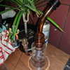 newpoort Altpins Profile Picture