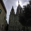 newpoort Altpins Profile Picture