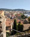 newpoort Altpins Profile Picture