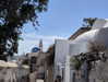 newpoort Altpins Profile Picture