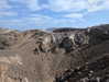 newpoort Altpins Profile Picture