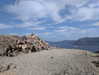 newpoort Altpins Profile Picture