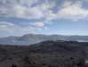 newpoort Altpins Profile Picture