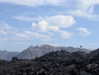 newpoort Altpins Profile Picture
