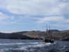 newpoort Altpins Profile Picture
