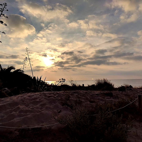 newpoort instagram image archive image